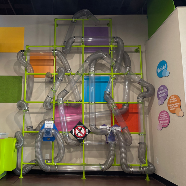 giant all of twisting tubes that fluffy balls fly through