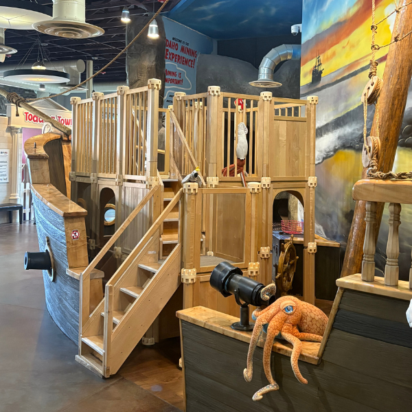 Pirate ship with ocean creatures